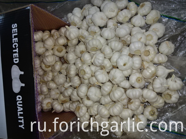 Pure White Garlic New